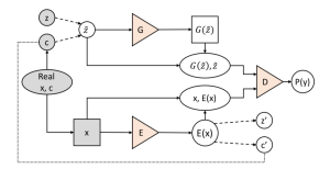 Bidirectional Conditional Generative Adversarial Networks